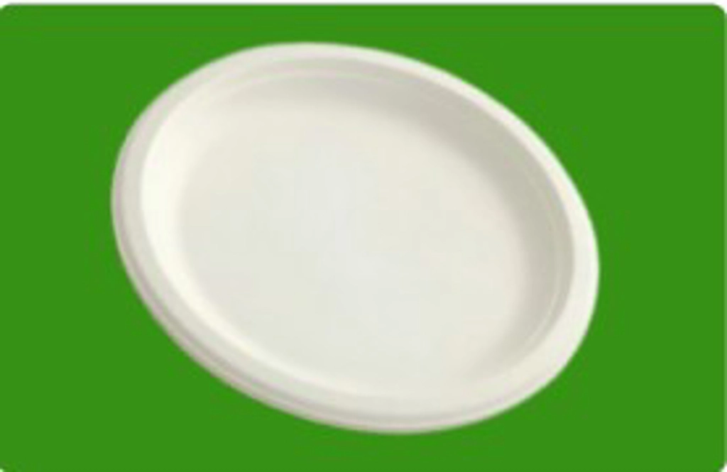 12-inch Round Plate