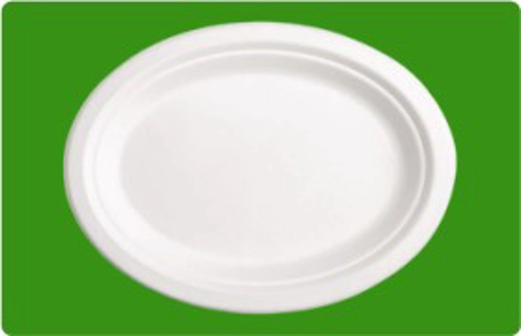 9-inch Round Plate